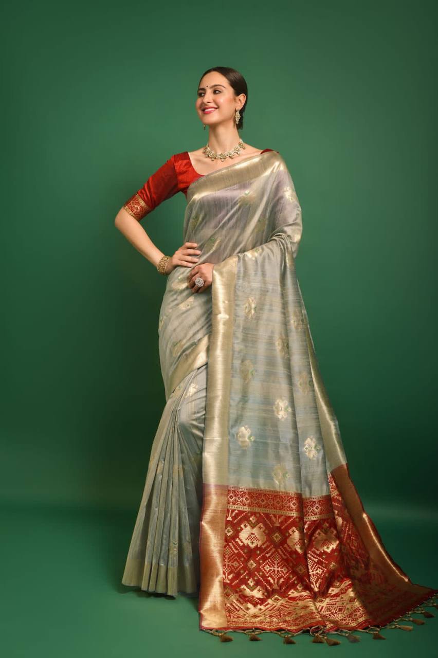 Light Grey Tussar Silk Patola Weaving Saree With Zari Woven Border