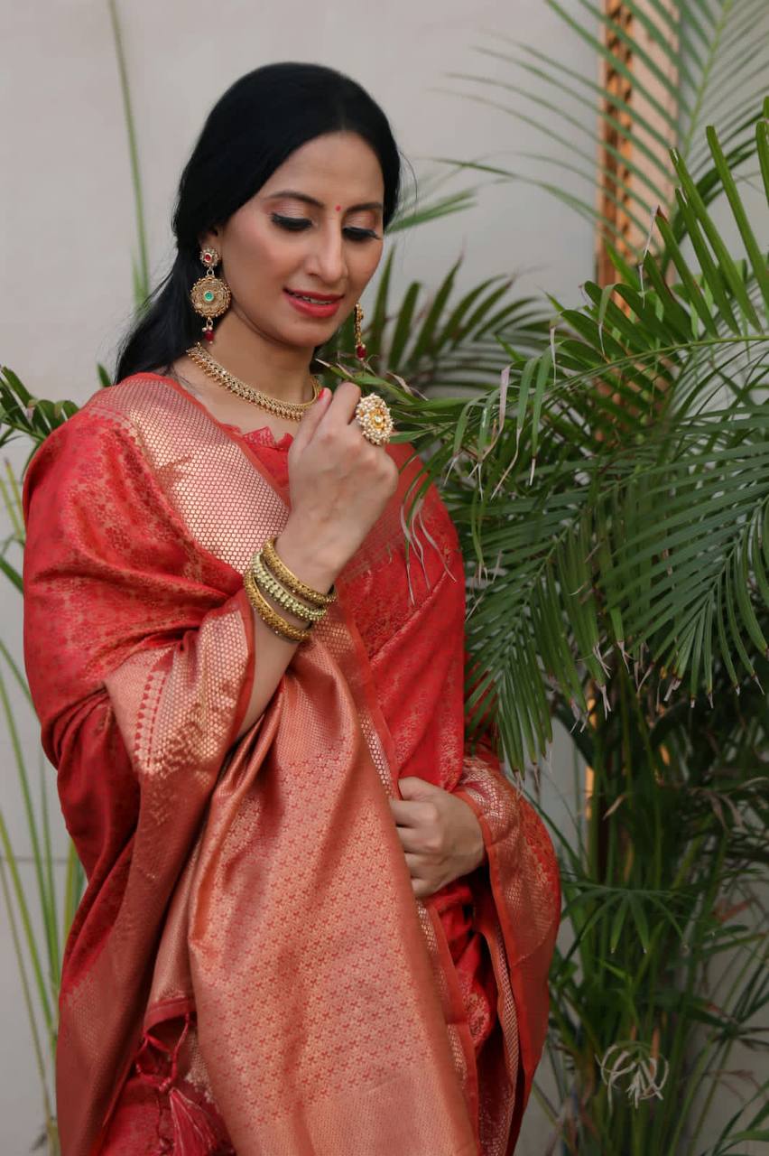 Red Soft Banarasi Silk Tanchoi Saree With Zari Border