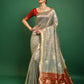 Light Grey Tussar Silk Patola Weaving Saree With Zari Woven Border