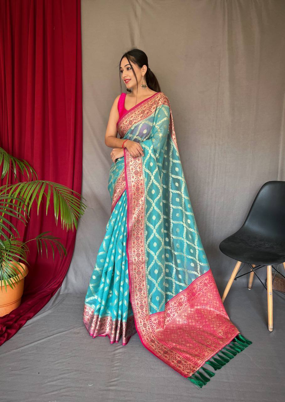 Blue Pure organza weaved saree with Jacquard border.