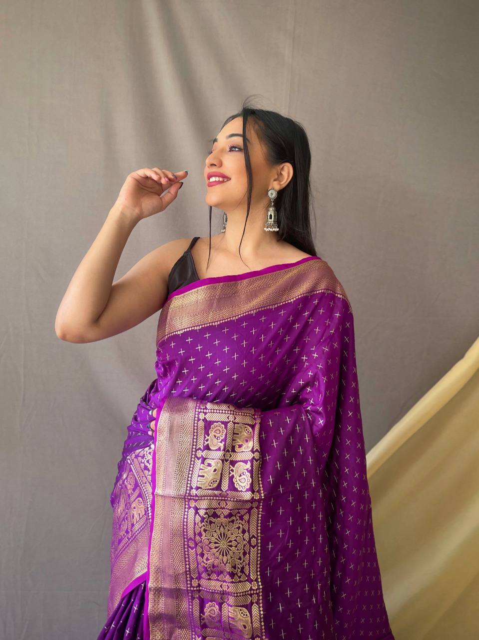 Purple Heavy Copper Jacquard Weaving Border Handloom Saree
