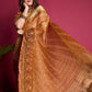 Orange Tissue Organza Silk Saree