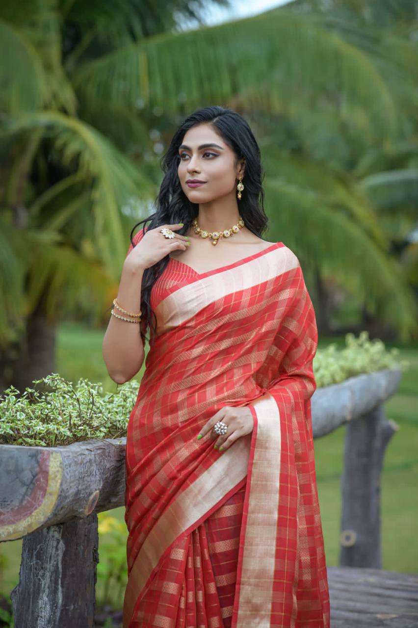 Red Soft Organza Silk Saree With All Over Zari Weaving